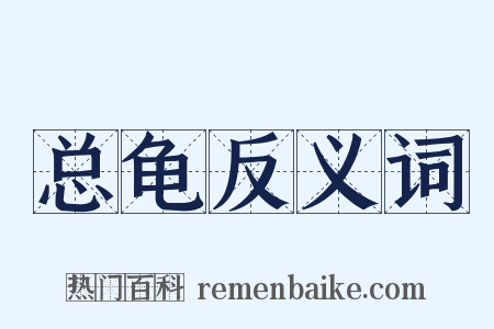 总龟反义词是什么意思的图片